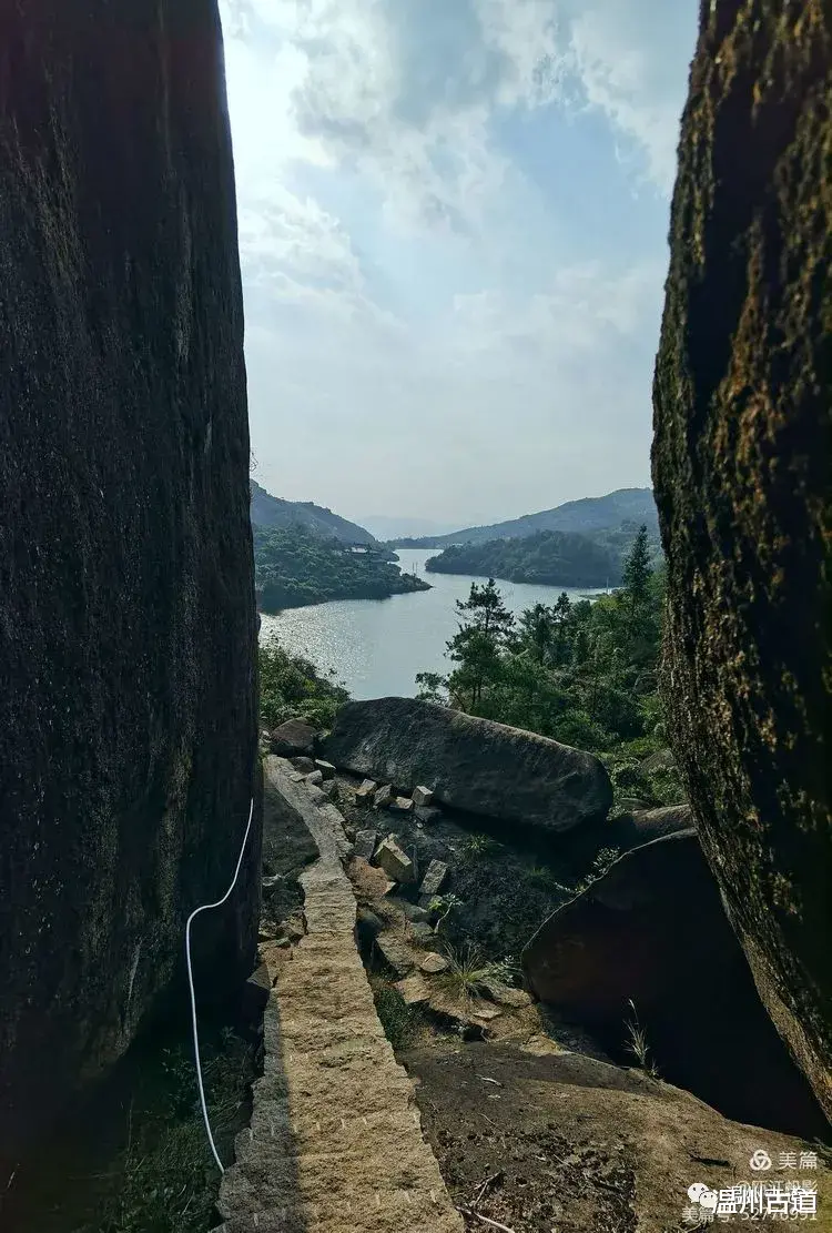 重庆|这里有温州唯一的千年古茶树，石奇洞阔景秀水碧，你可去过？