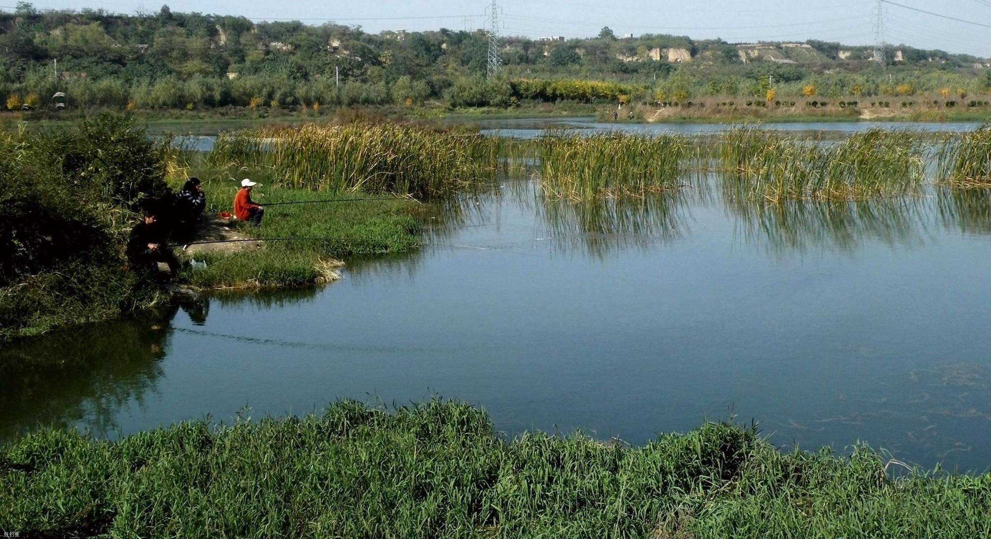 |春天遇到这四种天气，请假也要去钓鱼，大鲫鱼排队咬钩？
