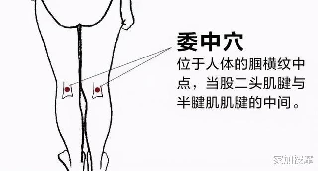 家加按摩|腿脚抽筋很难受?这些方法来缓解!