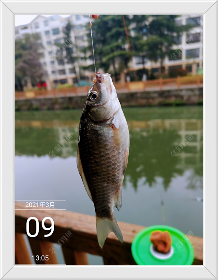 沙滩|早春同一窝点 不宜多次作钓