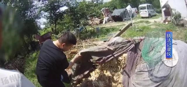 民警 江苏扬州,聚众斗殴牵出的“枪支大案”