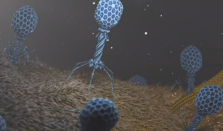 三体|关于病毒的真相，我想用“平衡”两字告诉你答案