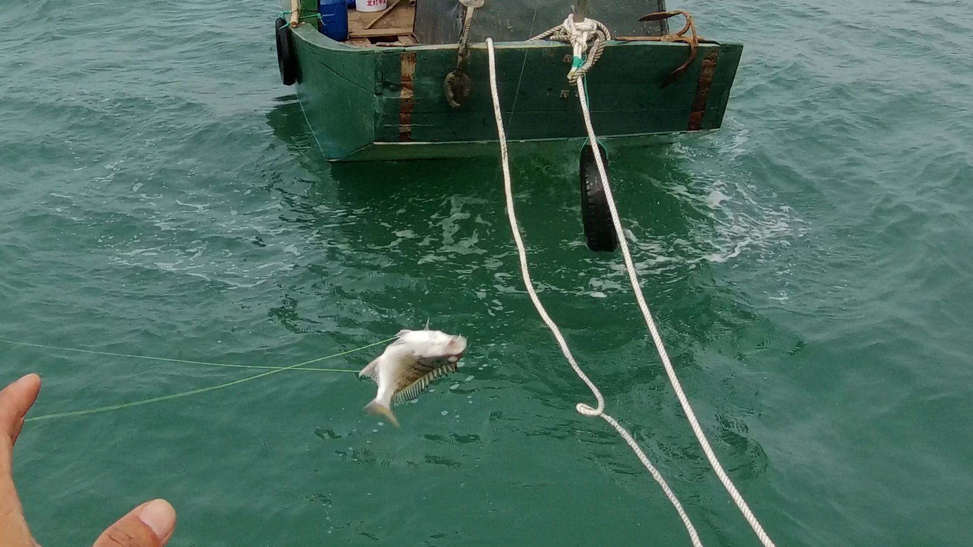 |六人出海钓鱼，左边两人爆护，右边两人差点空军，是什么原因？