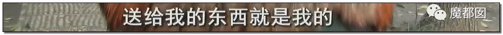 蜗牛研究僧|超美女孩被前男友起诉还86万红包！