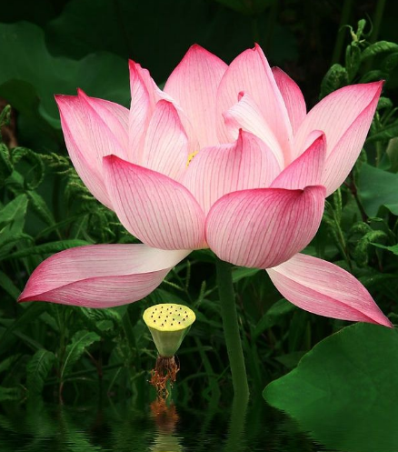 星临天下|7月6号开始，4属相贵人相助，事业进步，日子越来越顺利