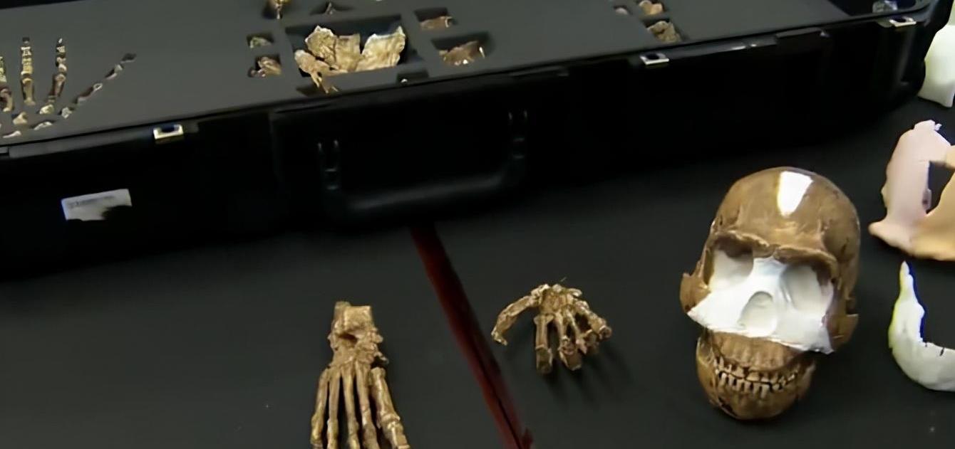 大量考古化石证明,人类一直在地球上轮回,几亿年前就有人类?