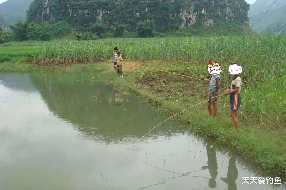 蜘蛛|童年钓鱼乐趣，共鸣很多，只能感叹：回不去的小时候！