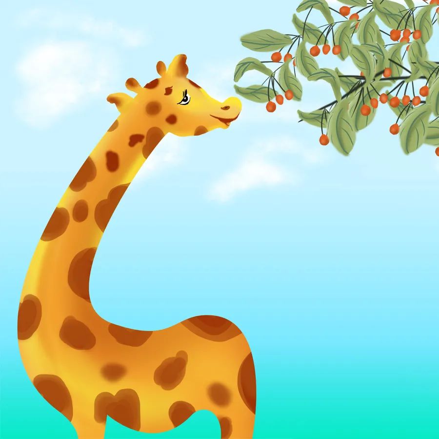 野生动物|人与自然和谐共生教育：野生动物（二）?