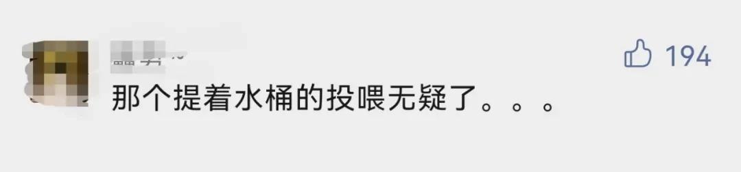 上海市|高校禁止堂食，学生的“饭桶”亮了！网友直呼：可可爱爱
