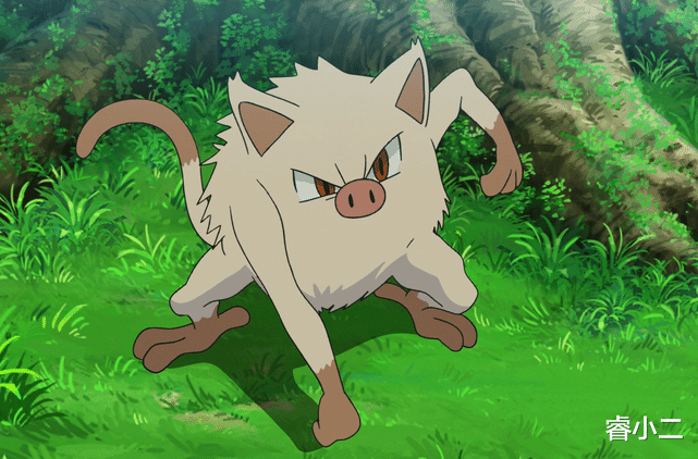《宝可梦》来源与生态:明明是个狒狒,火暴猴为何有猪鼻子?