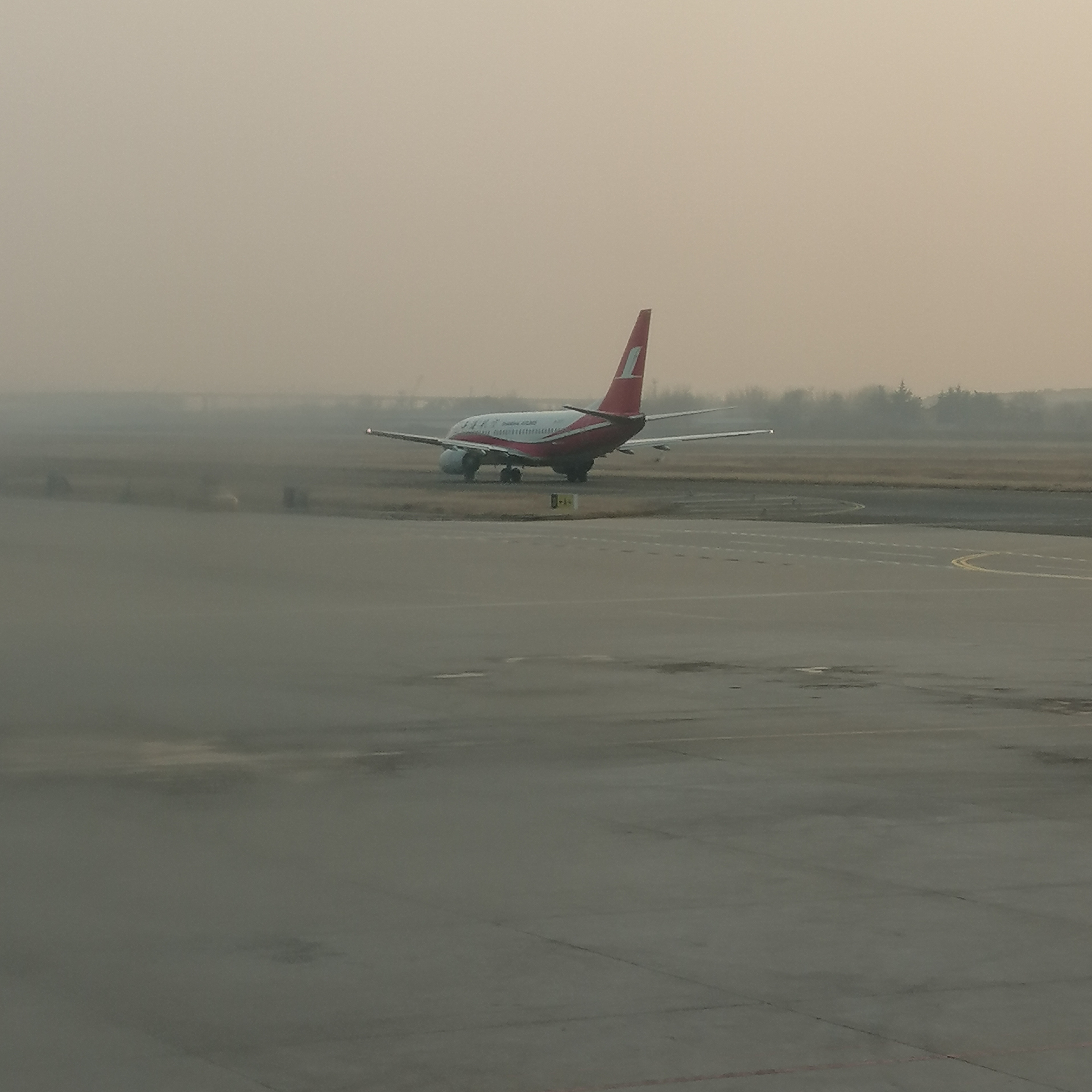 szfreeman 来鹤城遭遇大雪，晚上仔细听，还能听到雪飘落的声音