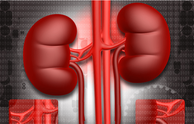 肾炎|肾病必须终身用药？除了这3类人，多数肾友无需担心