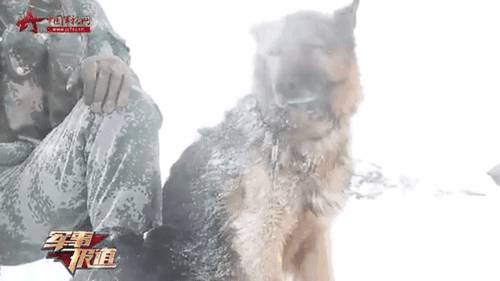 电影|郑爽被封杀半年后，娱乐圈又爆猛料：为拍电影竟害死一条命，他早该滚了！