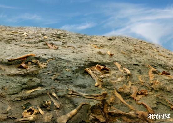 邓稼先 假如第6次大灭绝拉开帷幕，人类将何去何从？能否通过科技躲避