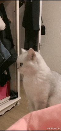 程序员|“你现在的职业在古代叫什么？”评论区都是人才啊！