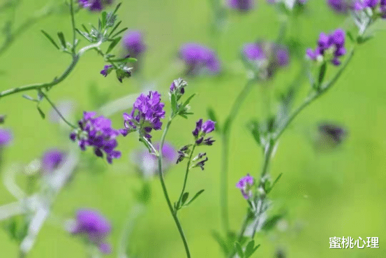 蜜桃心理|不适合娶回家的女人,身上会有这些特征,身上多半带有“浊气”