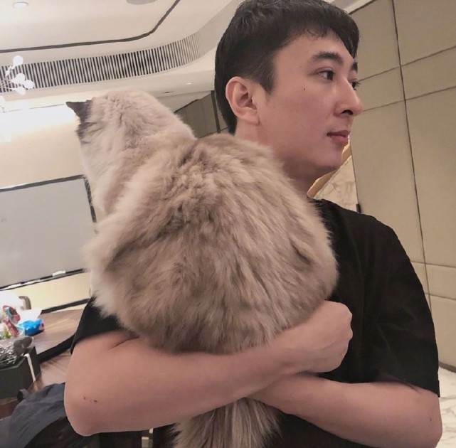 刘敏涛|王思聪回应汪小菲出轨，称其死鸭子嘴硬并晒出证据，这下坐实了吧