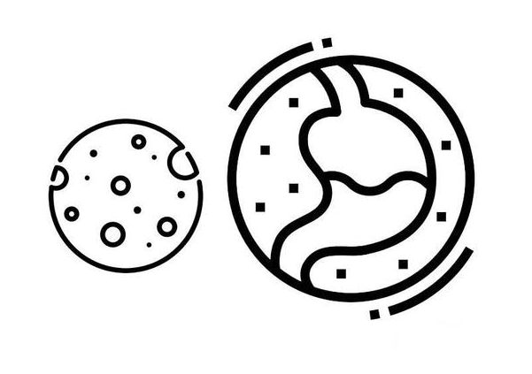 臀部|如何利用中医养好胃？教你6个方法，利用好了，健胃助消化