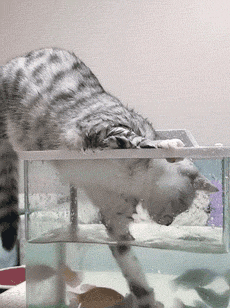 24小时的爱|女孩穿罩衣出门，“一马平川”的后背，是要留出来拔罐？