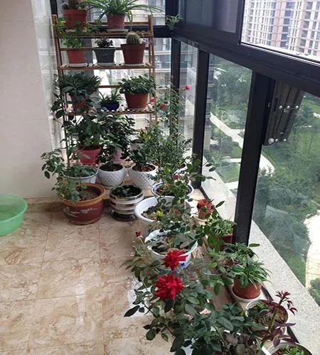 实拍好姐妹新房，低调奢华有内涵，没想到看过的都吐槽电视背景墙