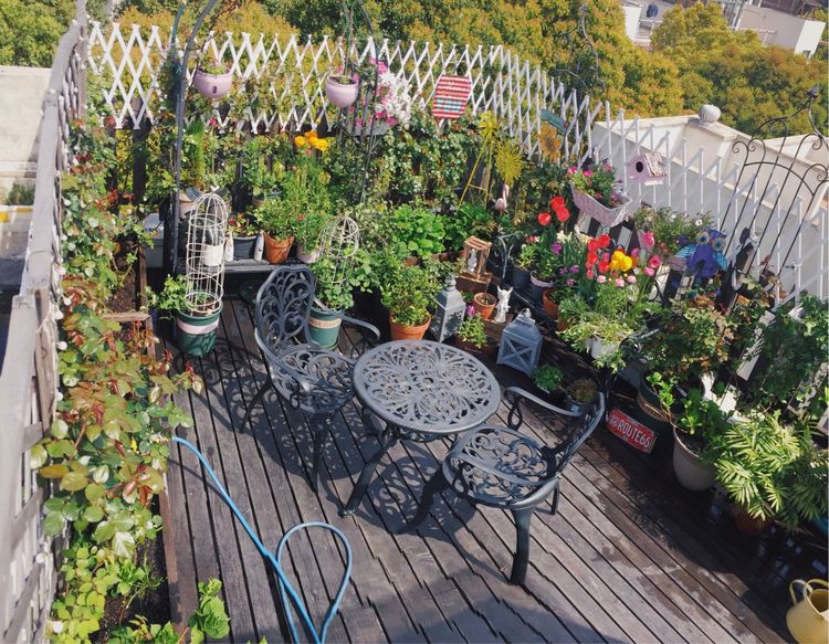 花一年多时间，改造16㎡屋顶露台，荒废屋顶变身“空中小花园”