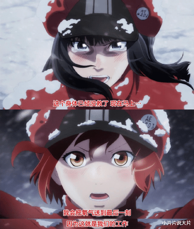 工作细胞|央视认证！这日本神作实火！