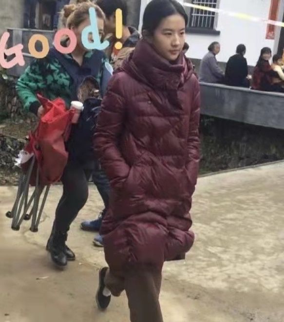 刘亦菲|刘亦菲穿土气衣服美成仙女上热搜，网友不信邪做实验，结果太扎心