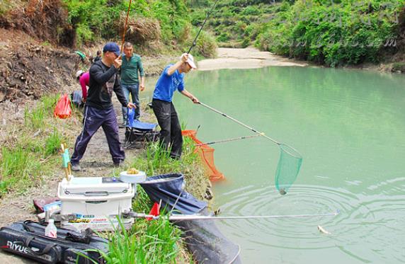 饵料|难怪钓草鱼总是空手而归，这些冷知识都不清楚，别说你是钓鱼人