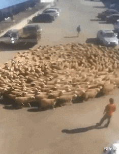 华为|1996年华为的招聘广告，大家看能应聘上吗？哈哈哈