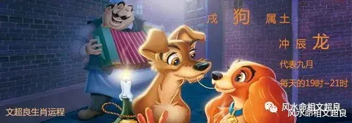 风水命相文超良|超良周易12生肖运程-2021年8月6日