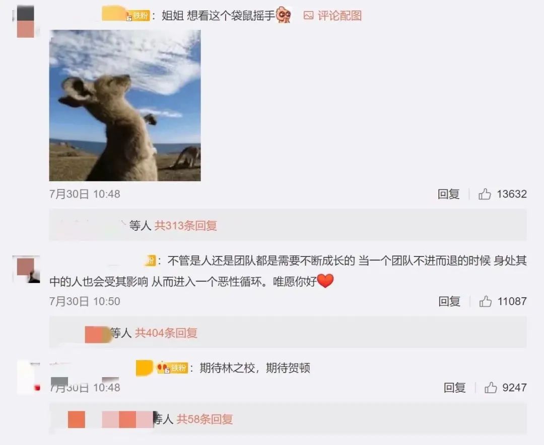 杨紫|“自毁前程，杨紫可惜了”