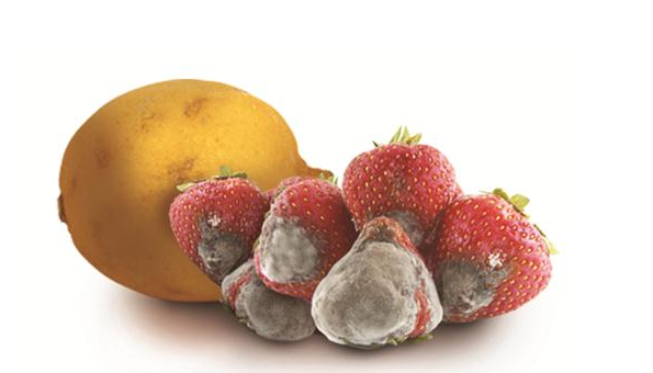 科普作者孙医生|57岁阿姨肝癌去世，子女痛哭，医生怒吼：一把年纪，怎么还做这2事