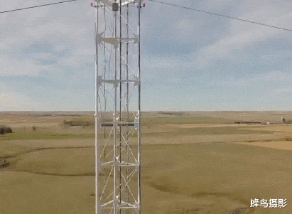 日本 35张活久未见的照片，X光下的鱼好像千手观音，熊这么上树太快了