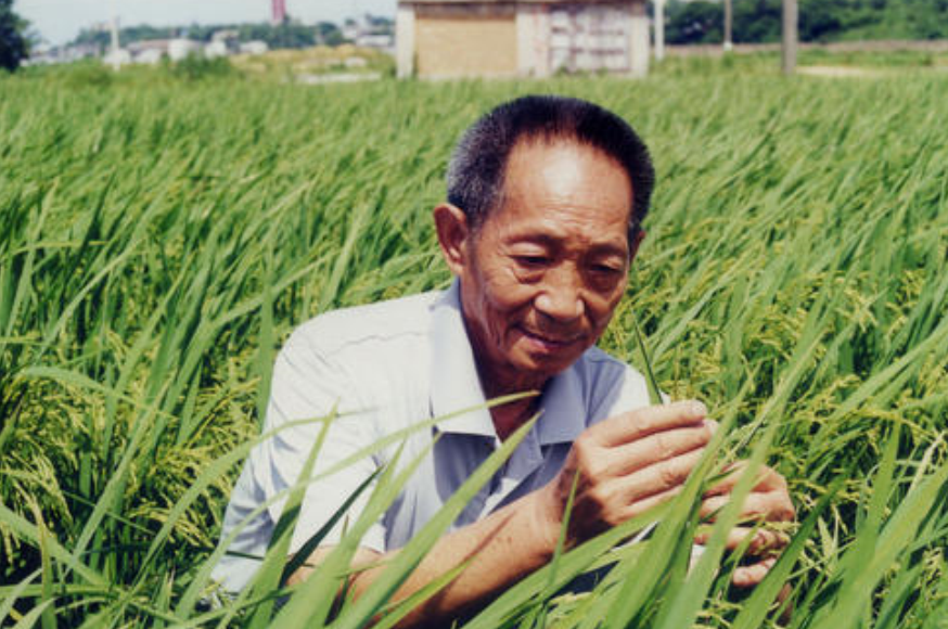 刘烨|谣言成真！上午还在辟谣，下午袁隆平却传出噩耗，享年91岁