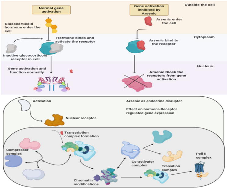 久见菌菌|美国一半以上陆地干旱,喝不上水、漫天野火,男性不育风险增加