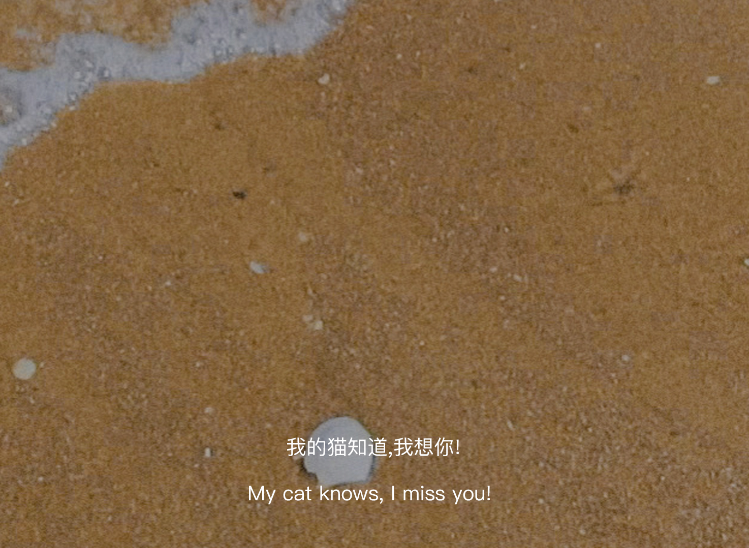 滕小七|“送你的祝福不会收回，但是对你的思念到此为止”