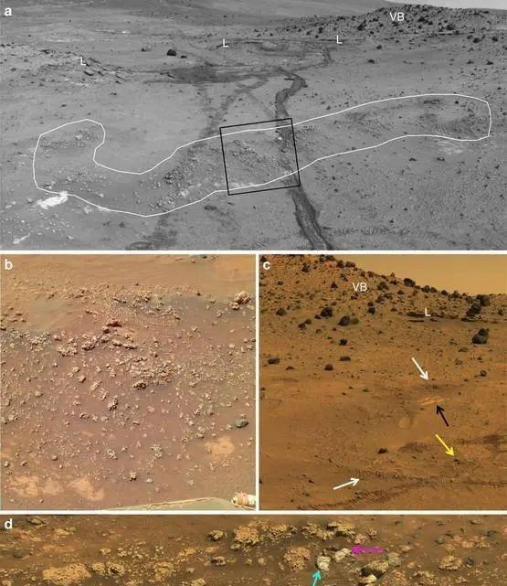 火星 为什么如果火星存在生命，对人类来说是个灾难？事实真的如此吗？