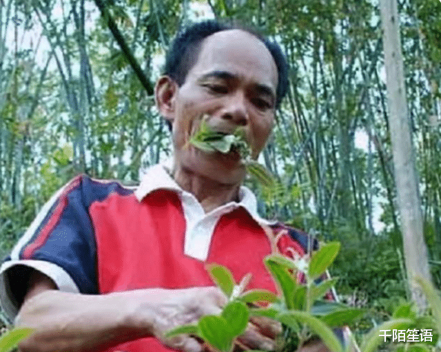 脑梗|龚清孝:只因口渴吃了把草,从此就戒不掉了,34年吃了40吨