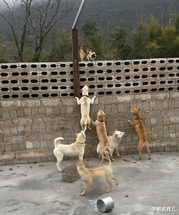 学姐说育儿|兄弟,不要以为关上车窗就能为所欲为了,我在外面都看见了