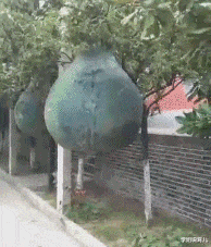 学姐说育儿|“小仙女的脚丫子,原来长着样啊?”终于窥见真容了哈哈哈