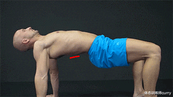 健身|一个日常“必练”却被大部分人都“忽视”的健身动作