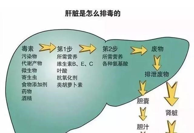育儿心课堂|比眼镜蛇毒还强80倍剧毒，为何突然出现在吃了几十年的海鲜里？