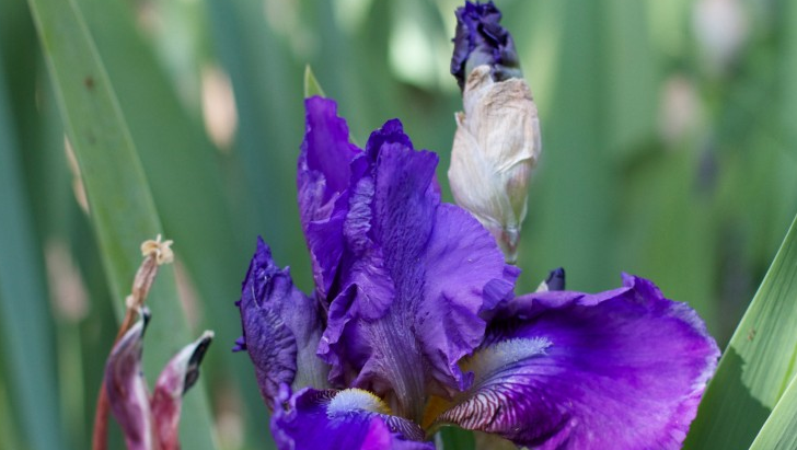 面试技巧|找工作经验分享，面试技巧总结