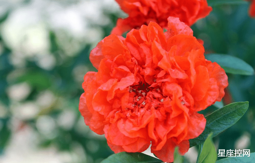 星座控网|属马人难找对象？找此3种生肖是天作之合，不离不弃，不穷不苦