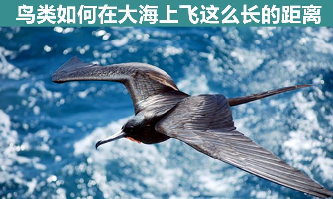 冷知识:乍看特别简单的7个问题,但却让大多数人回答不上来
