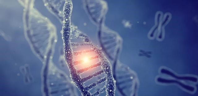 宇航员 宇航员身体发生神秘突变，人类走不出地球？科学家研究后给出解释