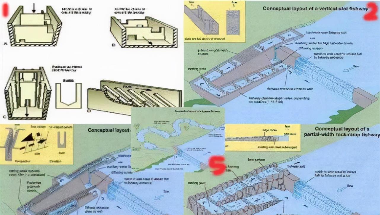 人类发明并修建了鱼梯,鱼梯到底是个什么东西呢?今天算长见识了