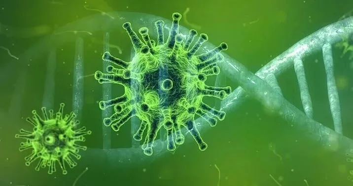 冠状病毒 深度！病毒演化史：把人类搞死，自己也死了，病毒的目的是啥？