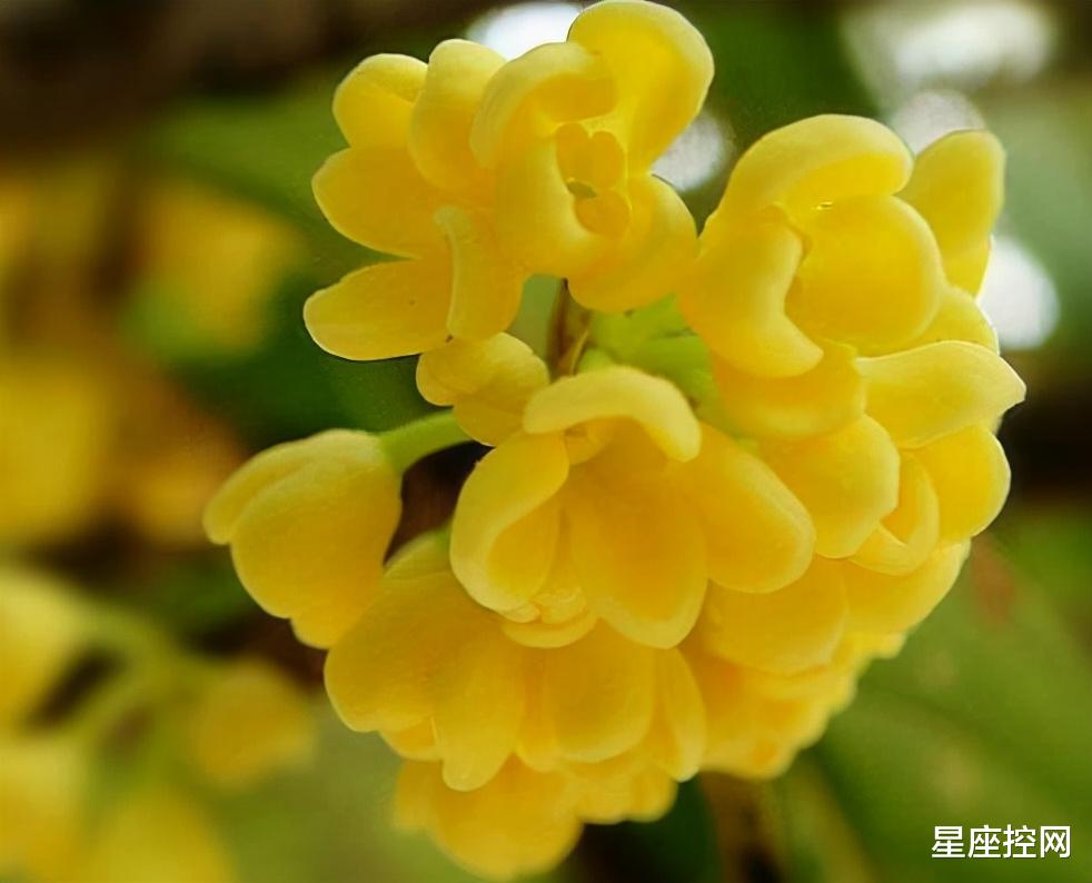 运势|啥日子运势鼎盛，12月更有喜事发生，贵人出现添助力，人生赢家