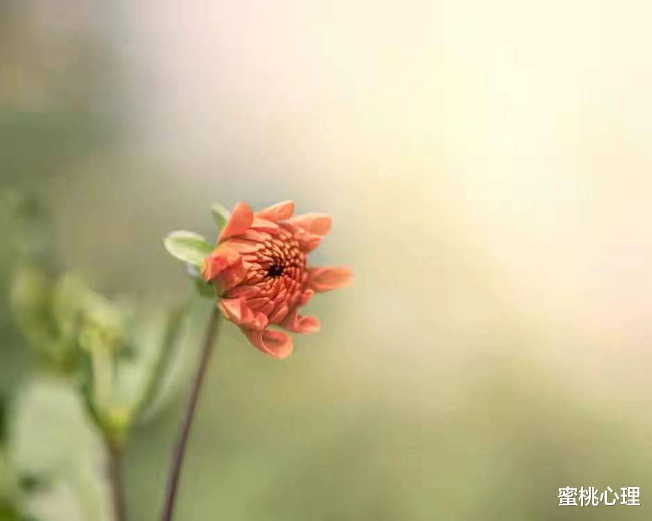 蜜桃心理|职场中，真正聪明的人，往往选择不争